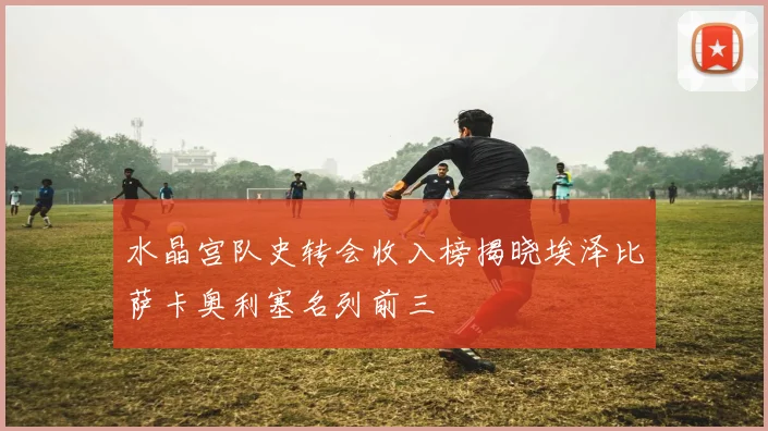 水晶宫队史转会收入榜揭晓埃泽比萨卡奥利塞名列前三