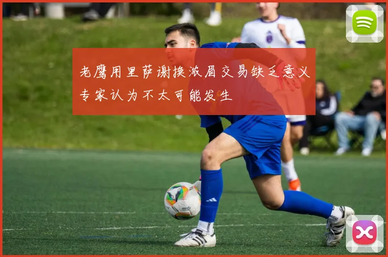 老鹰用里萨谢换浓眉交易缺乏意义专家认为不太可能发生